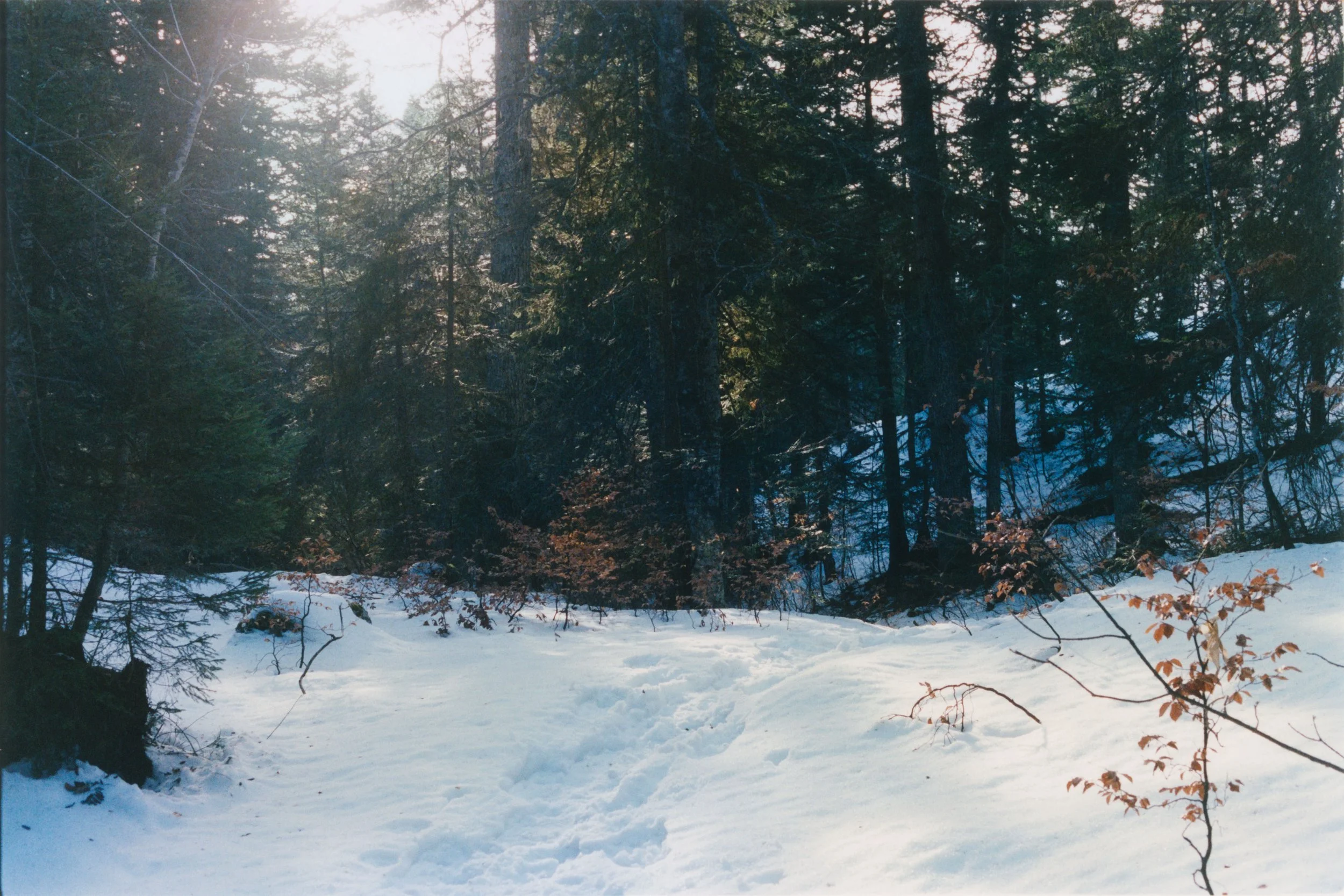 portfolio liminale-3.jpg