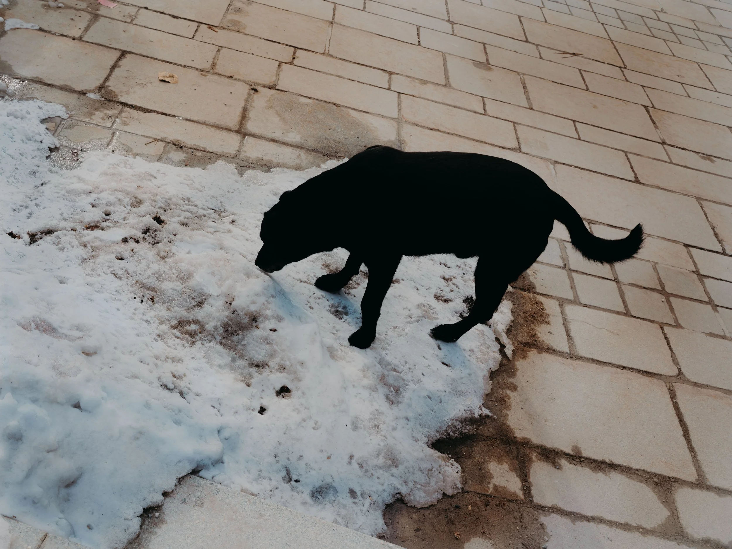 portfolio liminale-2.jpg