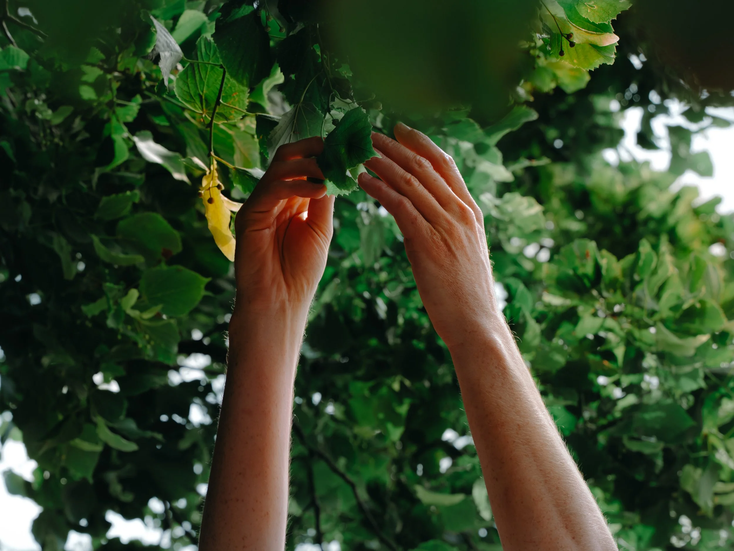 portfolio liminale-2.jpg