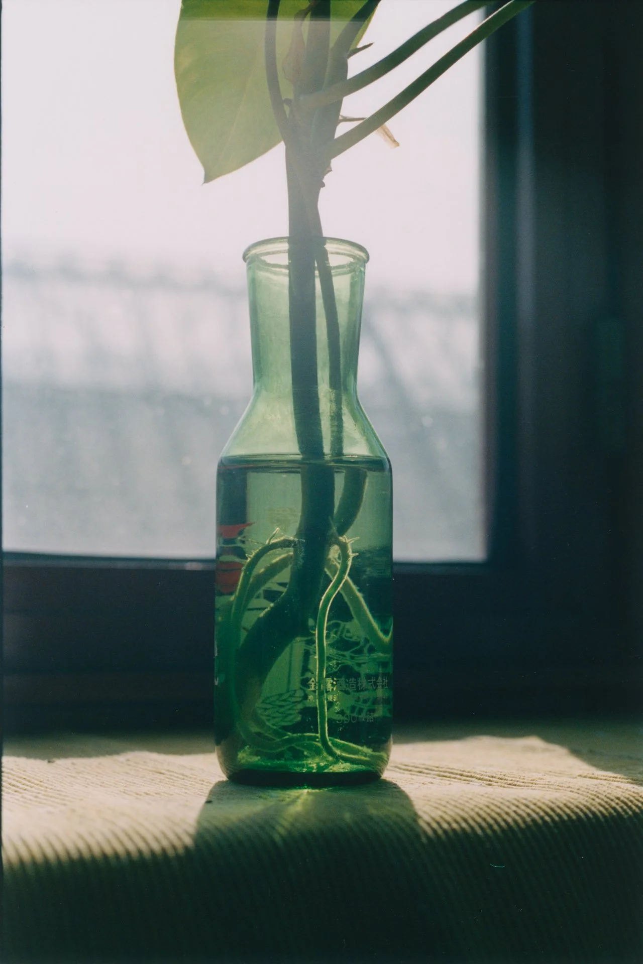 portfolio liminale-4.jpg