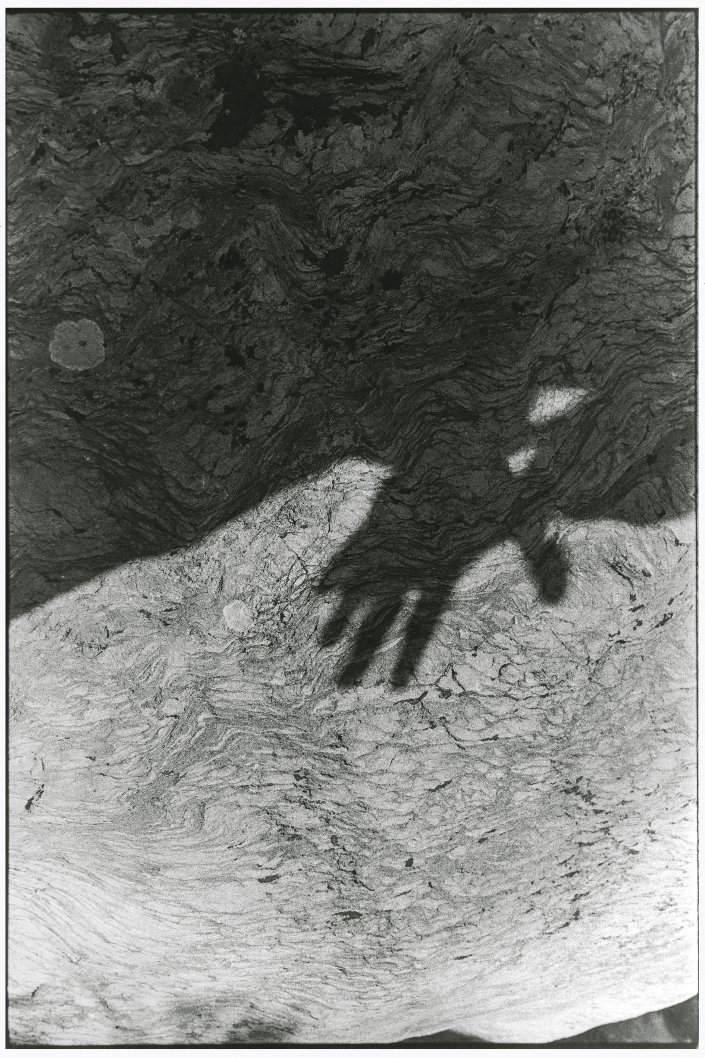 portfolio liminale-5.jpg