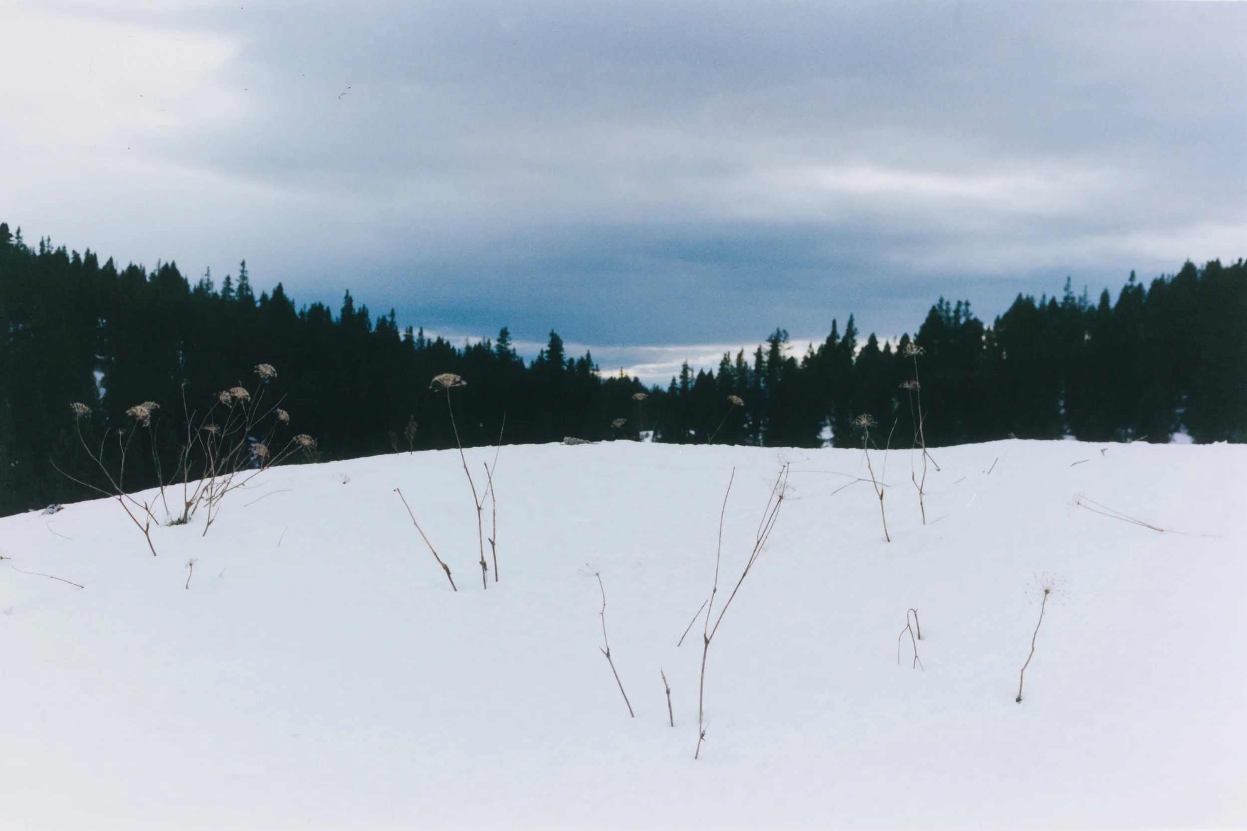 portfolio liminale-5.jpg