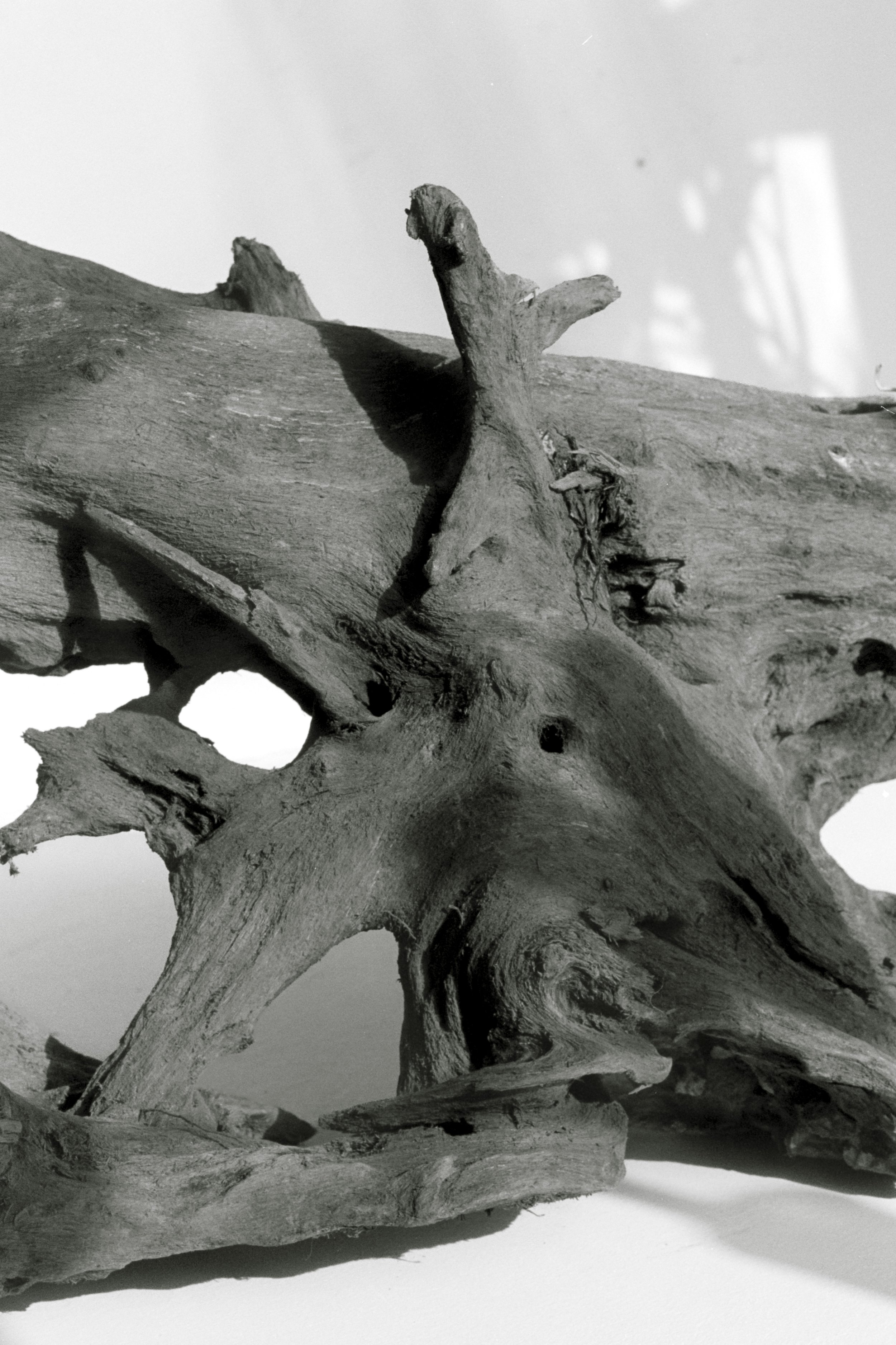 portfolio liminale-23.jpg