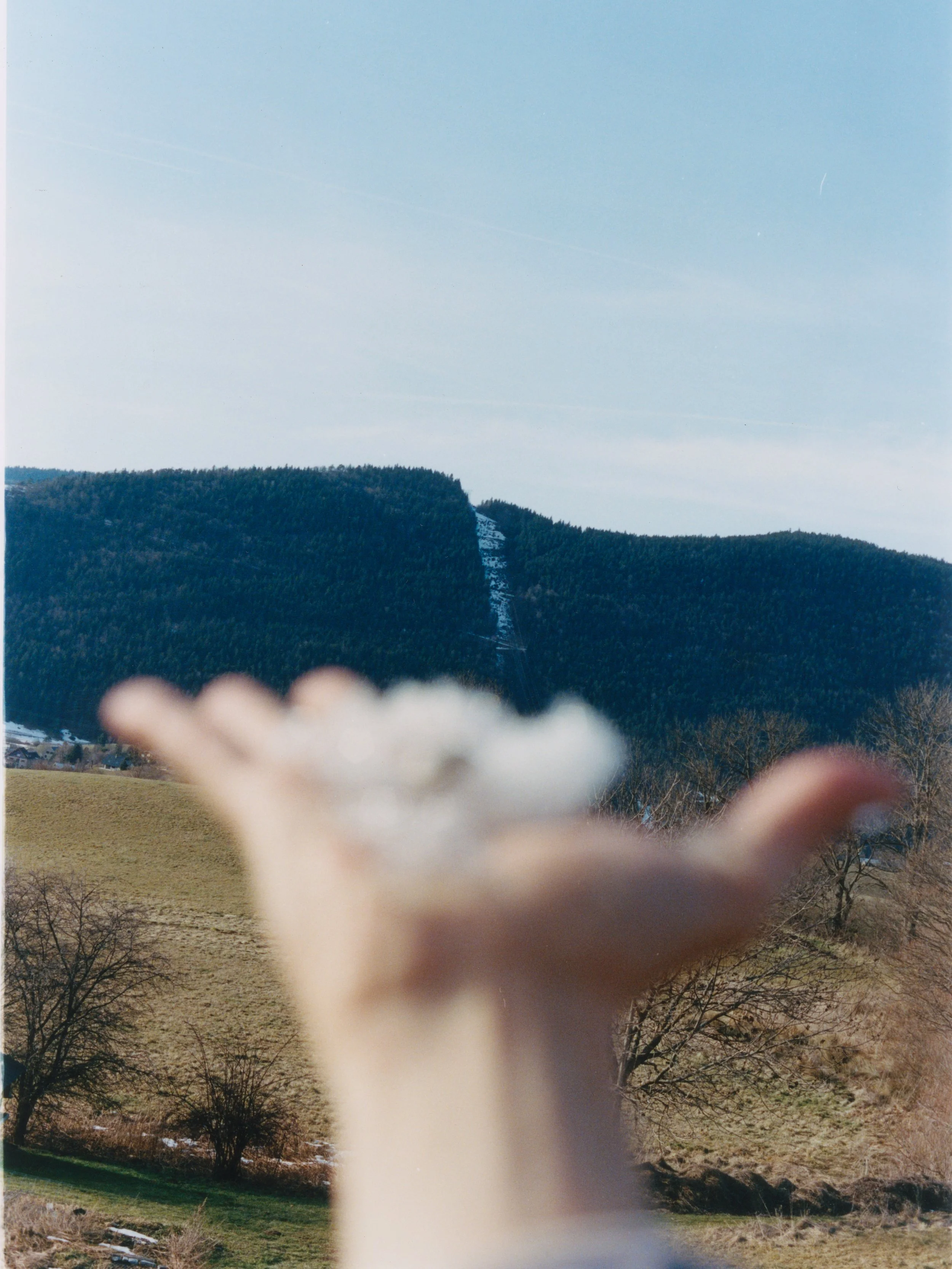 Hauts-Plateaux du Vercors - Diary