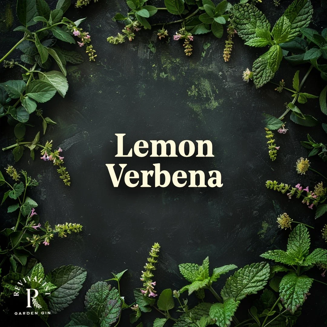 LEMON VERBENA