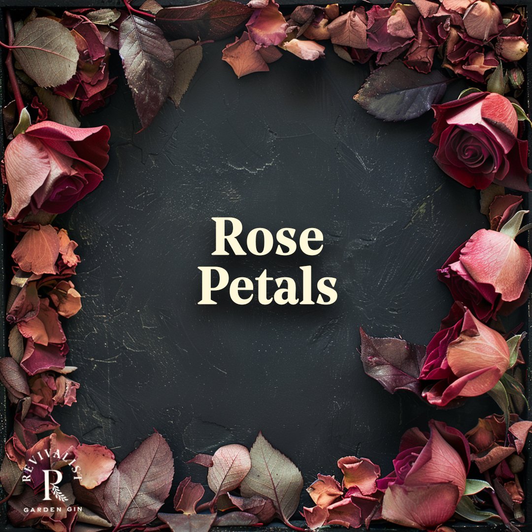 ROSE PETALS