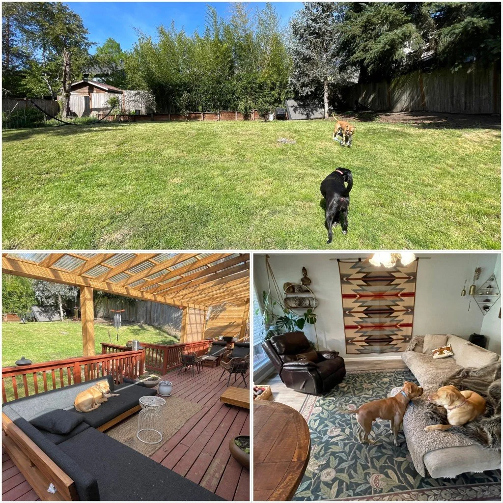 Off-leash Dog Training Portland