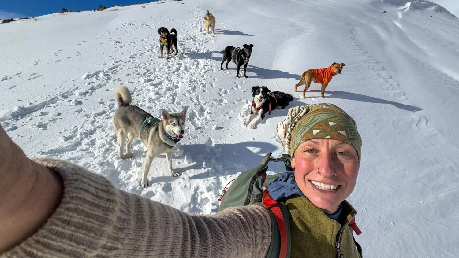 Dog Adventures Pack Leader holds the camera to take a selfie with 6 dogs in the snow on Mt. Hood in Oregon