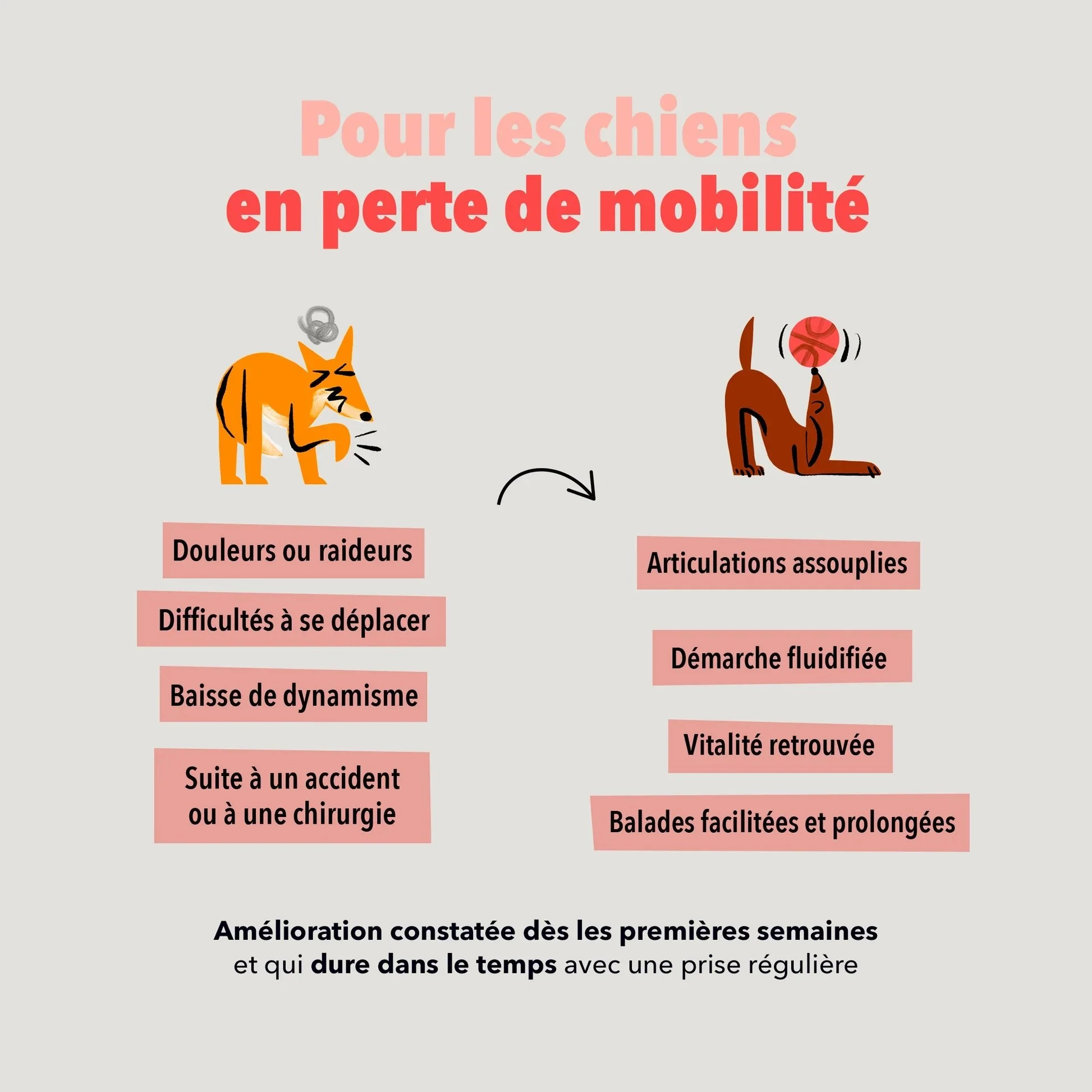Site_FicheProduit_Bouchees-Concerns_articulation.jpg
