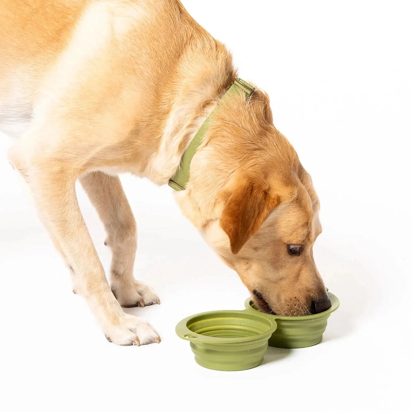 bol-silicone-pliable-chien-mousqueton-awoo.jpeg