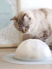 inooko-cat-igloo-jouet-distributeur-croquettes-6.jpg