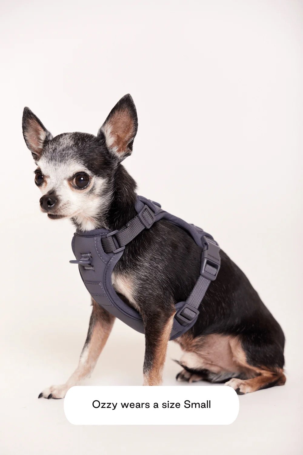 double-panel-harness-134260_1000x.jpeg