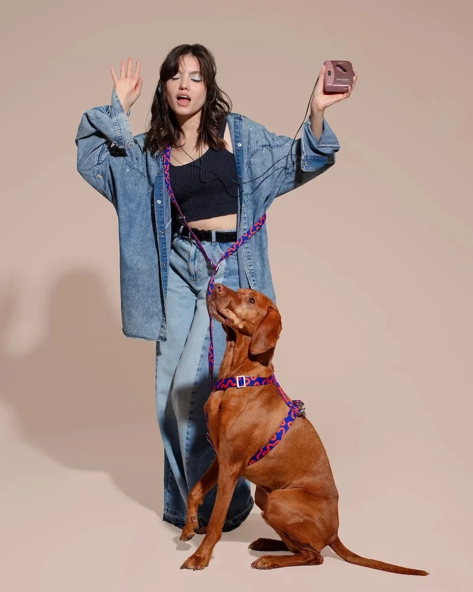hands-free-leash-rocky-electric2.jpg