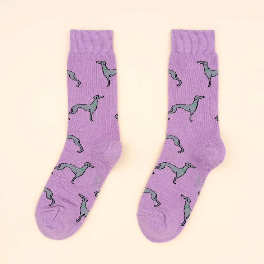 coucou-suzette-accessoire-accessory-cadeau-gift-socks-chaussettes-unisex-mixte-cotton-coton-motif-pattern-dog-chien-ouaf-woof-levrier-whippet-violet-purple-Web1.jpg
