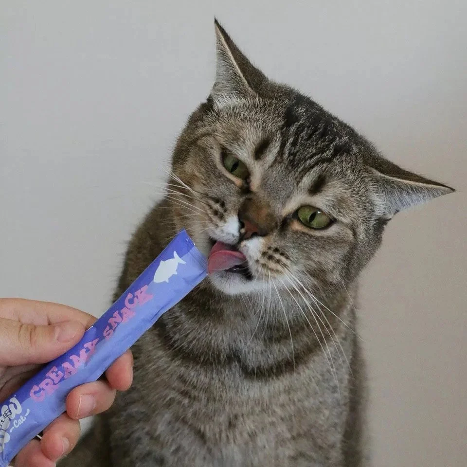 20240916_wow_cat_creamy_snack_lachs2.jpeg