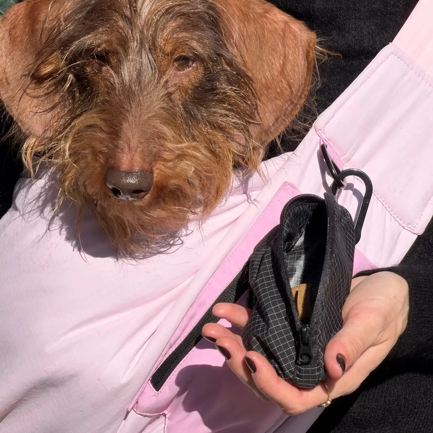 Une pochette déperlante au coloris noir, idéale pour les promenades avec votre chien.