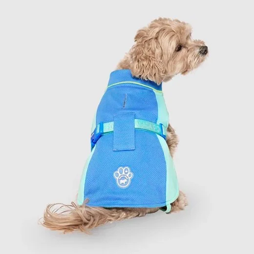 Chien portant le gilet rafraîchissant Max Chill Canada Pooch