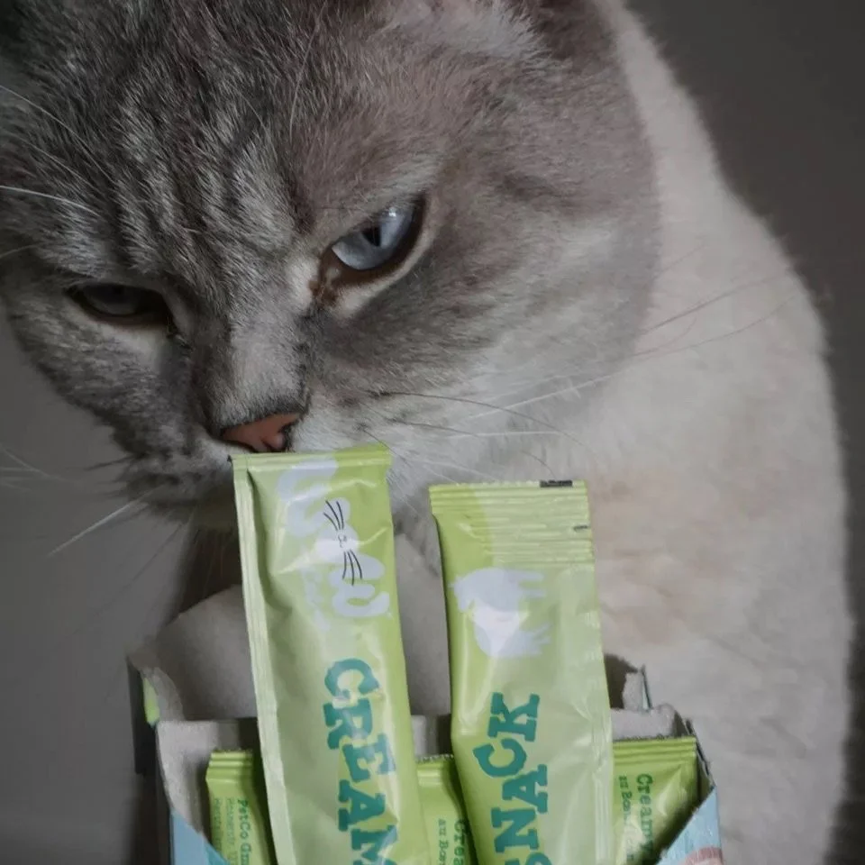 20240916_wow_cat_creamy_snack_rind-2.jpeg