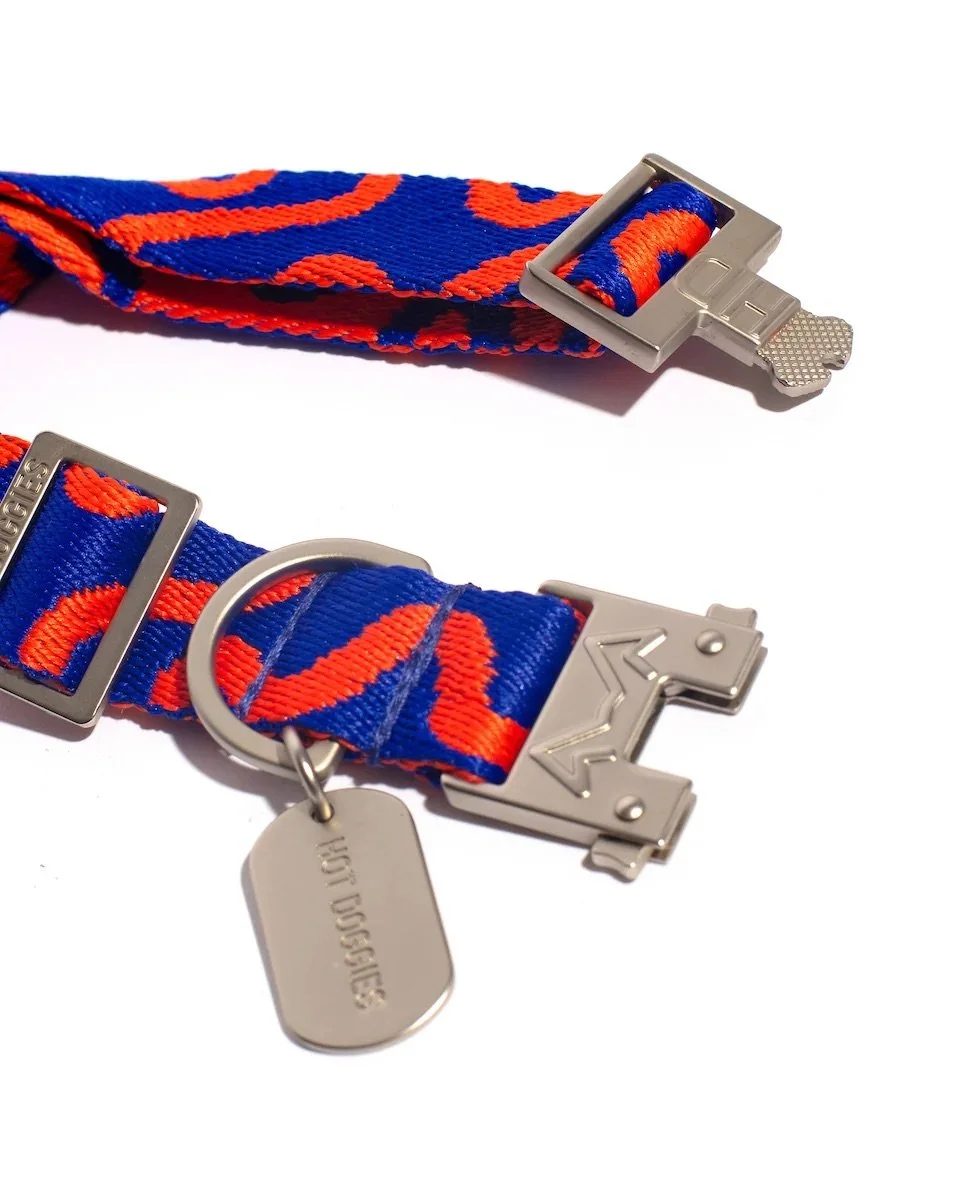 collar-rocky-electric-hot-doggies-02.jpg