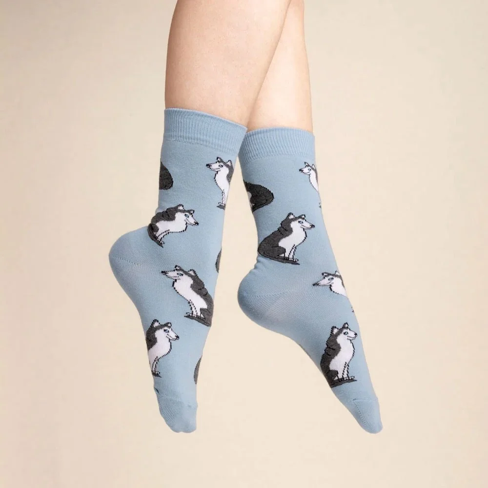 coucou-suzette-accessoire-accessory-cadeau-gift-socks-chaussettes-unisex-mixte-cotton-coton-motif-pattern-dog-chien-ouaf-woof-husky-bleu-blue-Web2.jpg