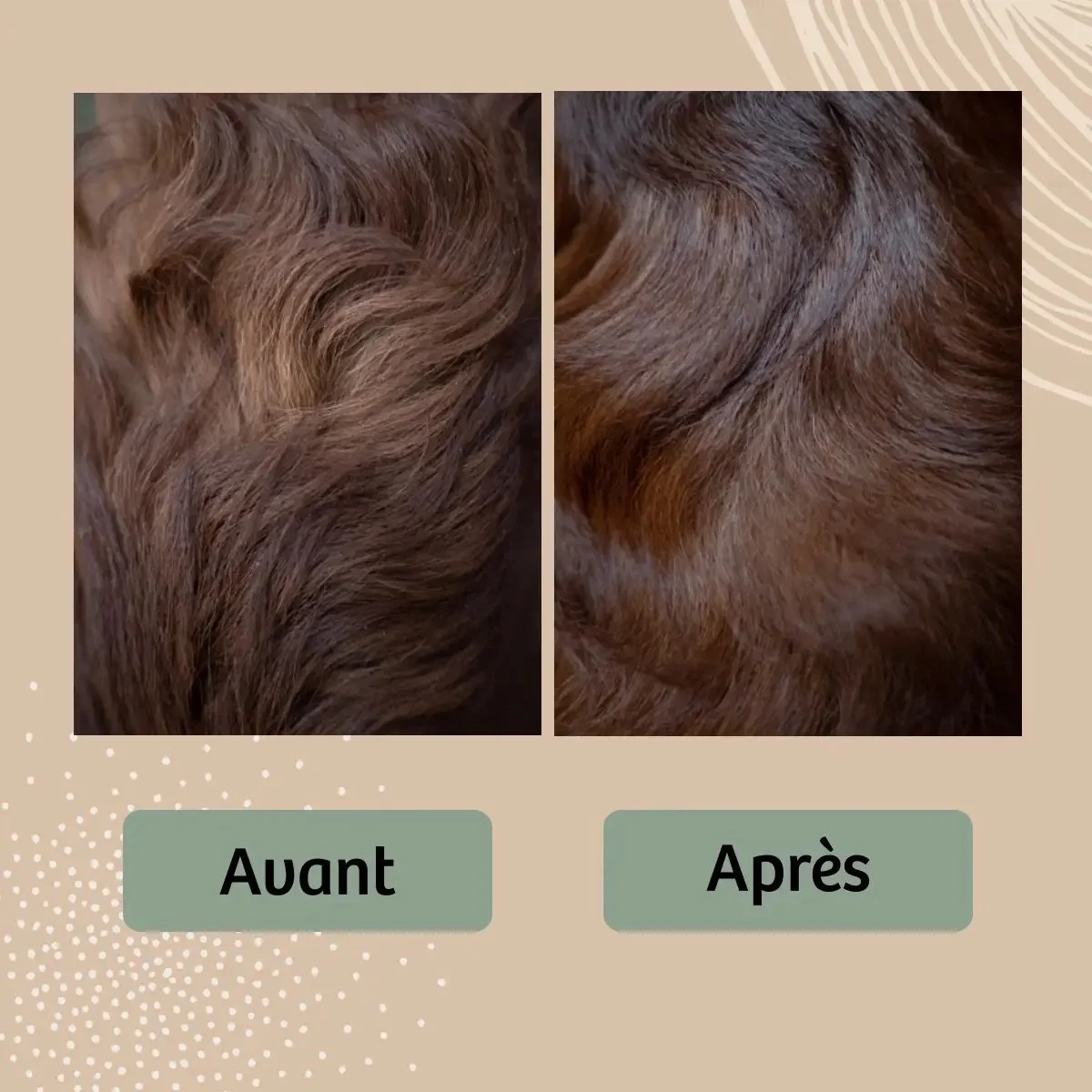Soin démêlant bio pour pelage de chien et chat