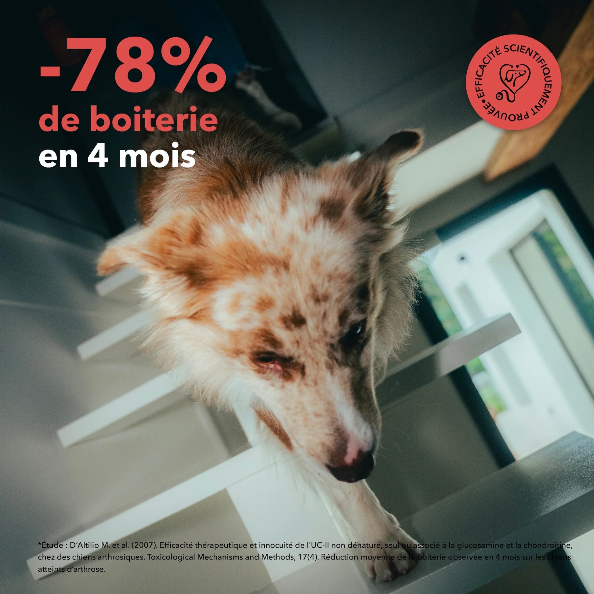 Site_FicheProduit_Bouchees-Claims_Articulation.jpg
