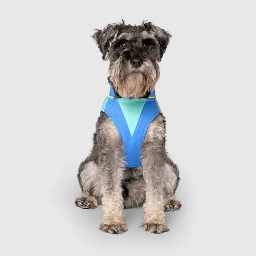 Chien portant le gilet rafraîchissant Max Chill Canada Pooch