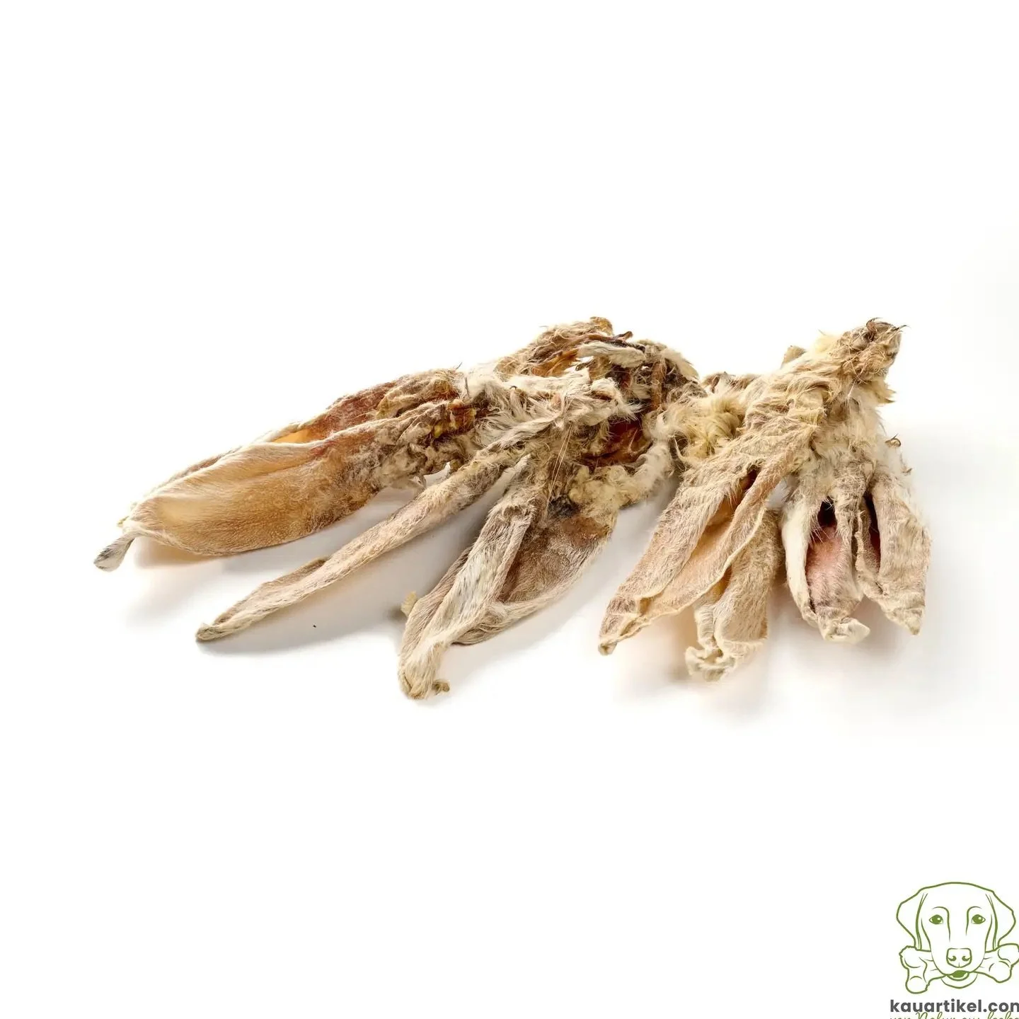 Oreille de lapin poilue