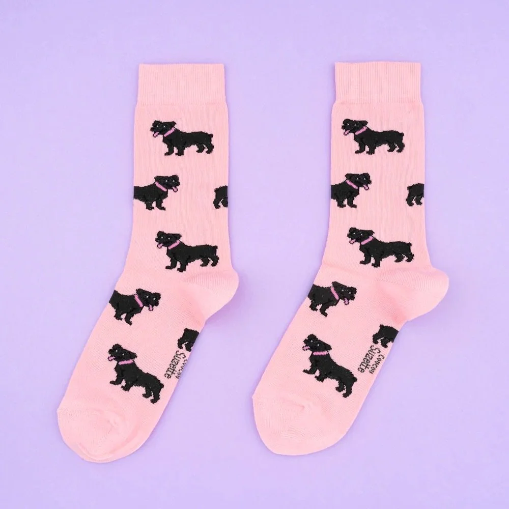 coucou-suzette-accessoire-accessory-cadeau-gift-socks-chaussettes-unisex-mixte-cotton-coton-motif-pattern-dog-chien-ouaf-woof-staffie-staffy-noir-black-rose-pink-Web.jpg