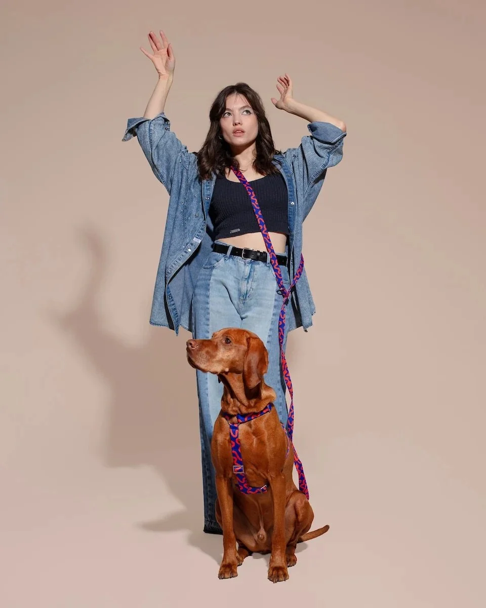 hands-free-leash-rocky-electric4.jpg
