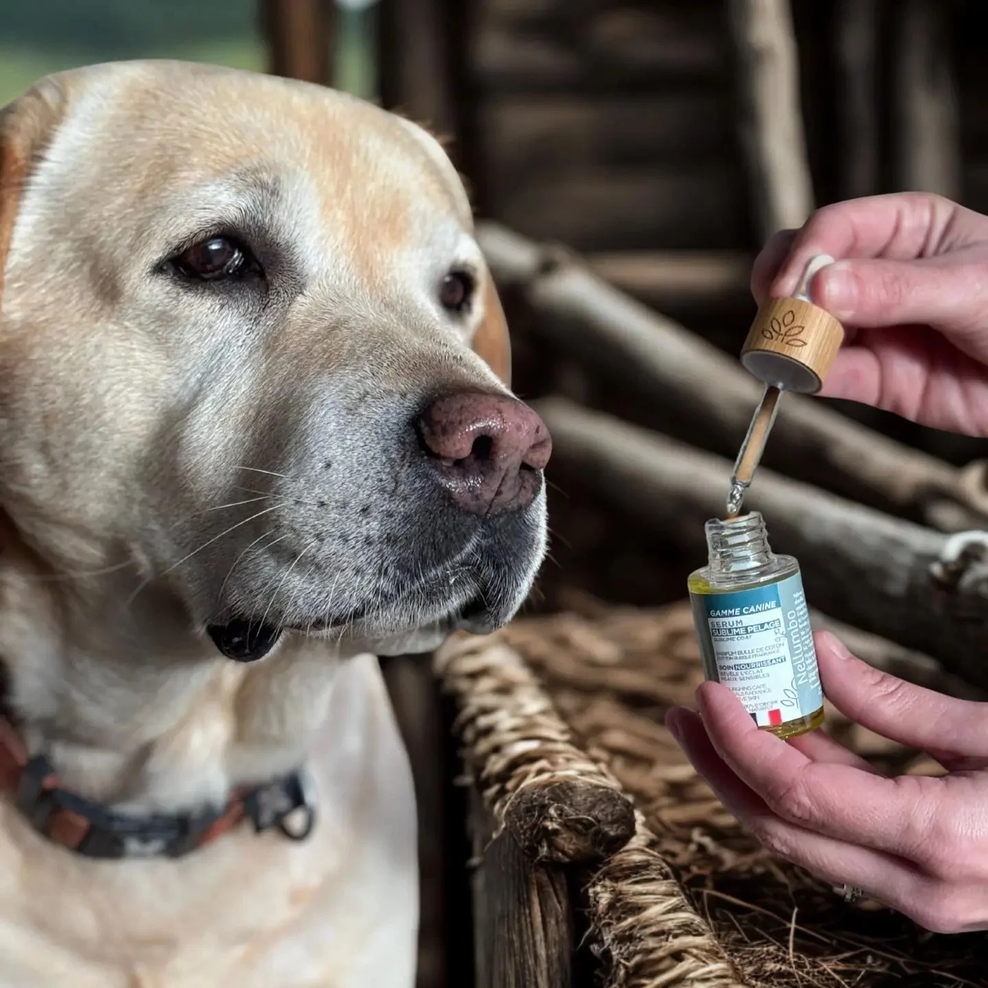 Sérum nourrissant naturel Nellumbo pour le pelage des chiens