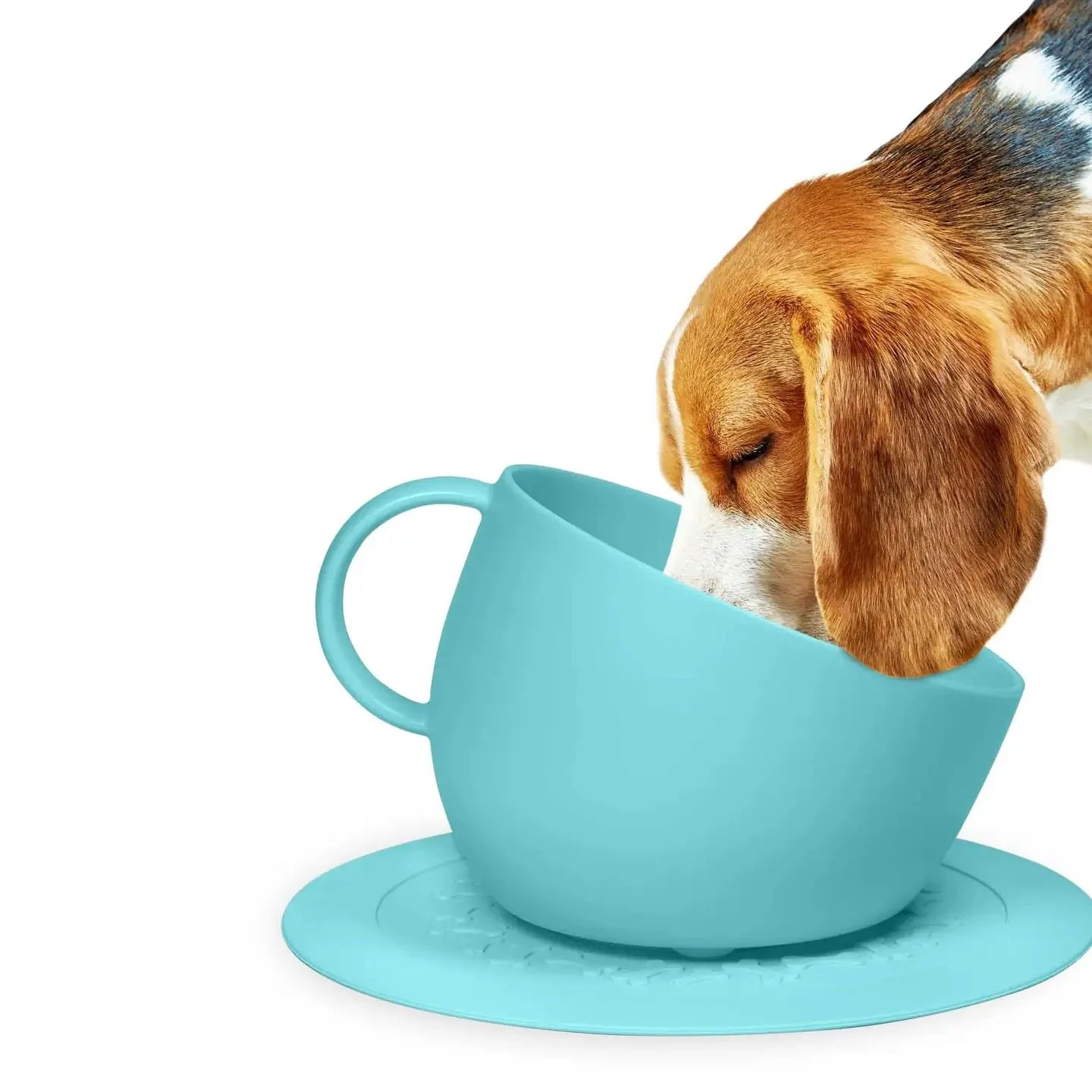 bol-chien-plastique-recycle-united-pets.jpg