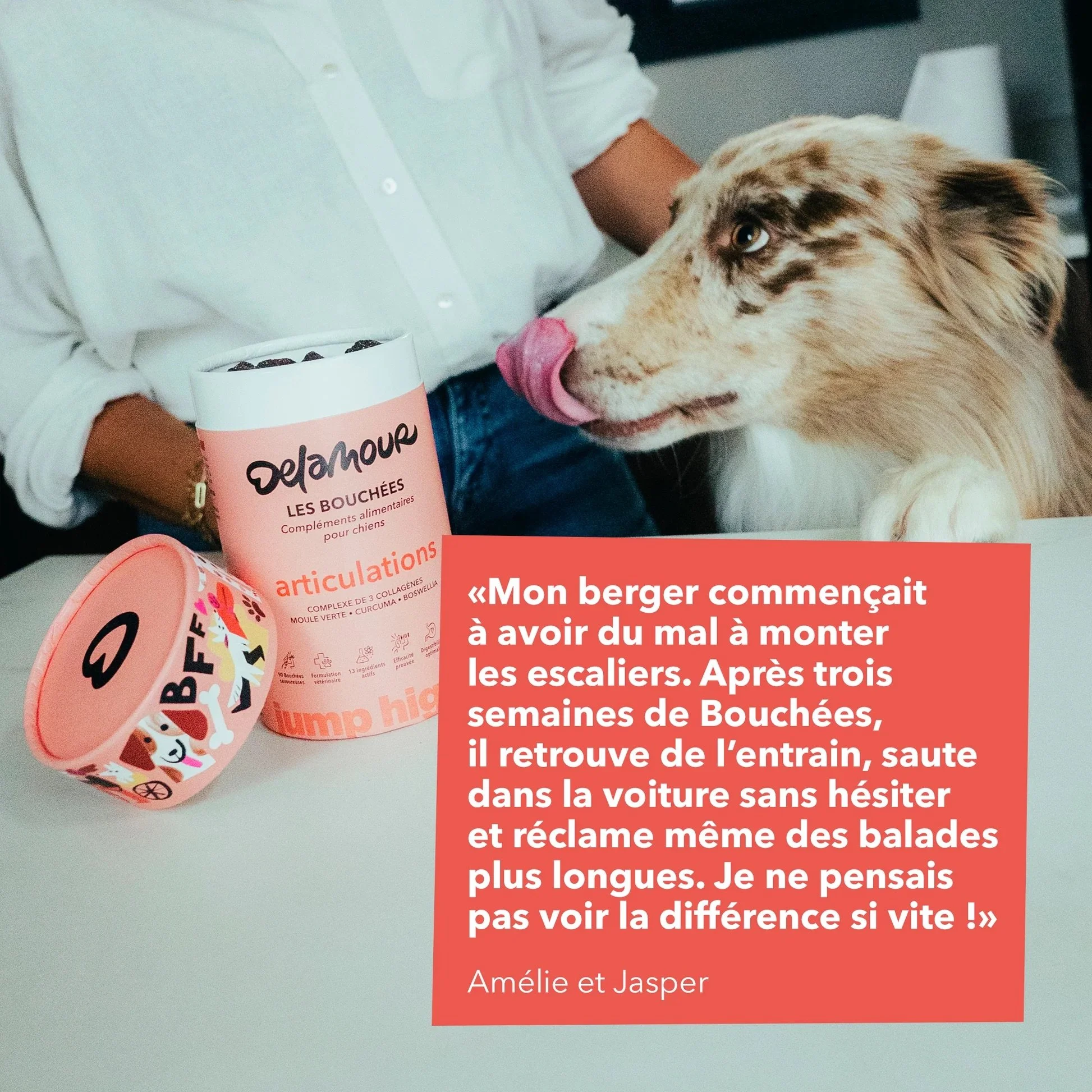 Site_FicheProduit_Bouchees-Review_Articulations.jpg