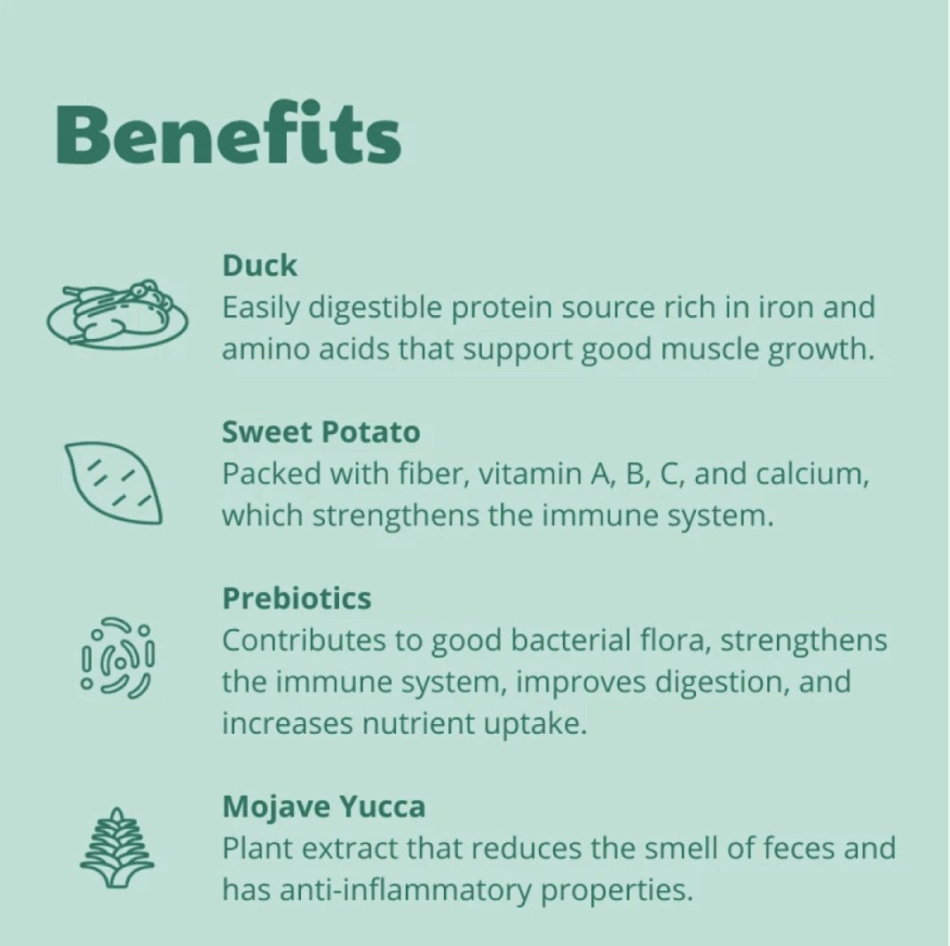 Capture d’écran 2026-03-18 à 11.32.42.jpeg