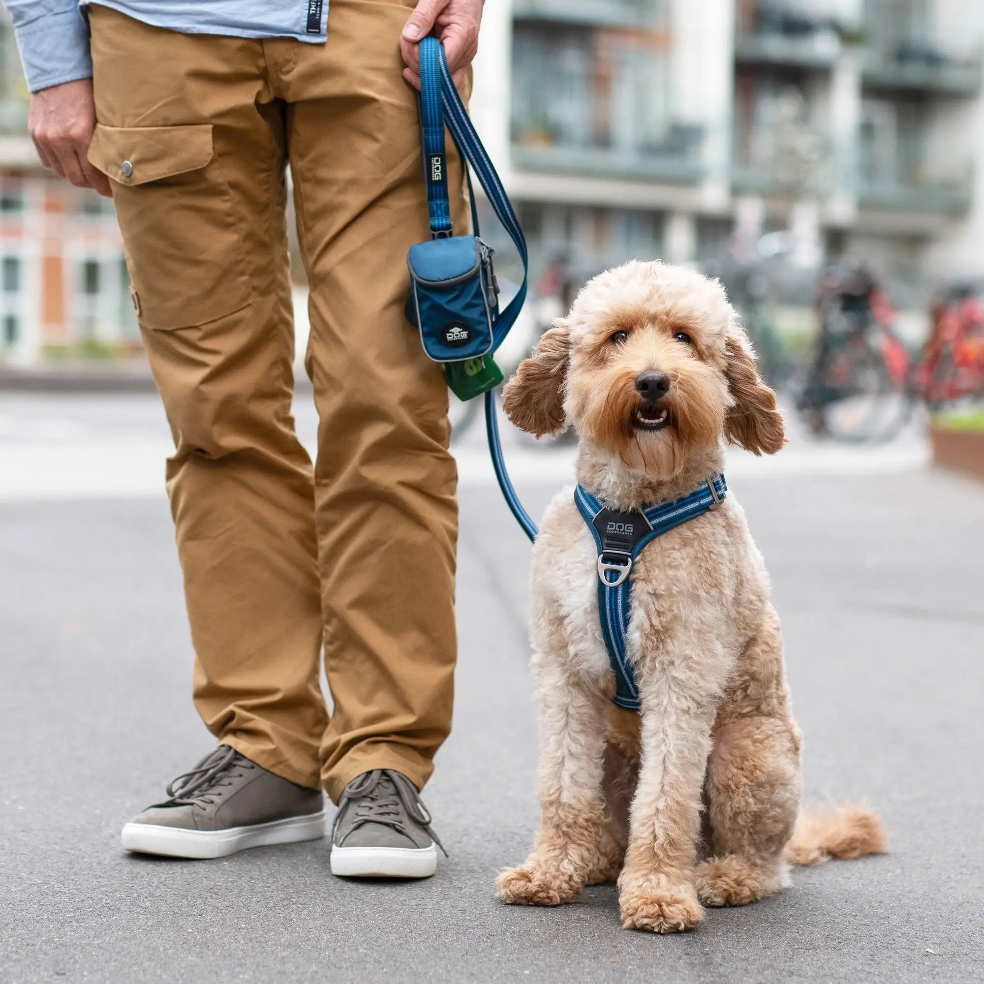 comfort-walk-air-harnais.jpg-10.jpeg