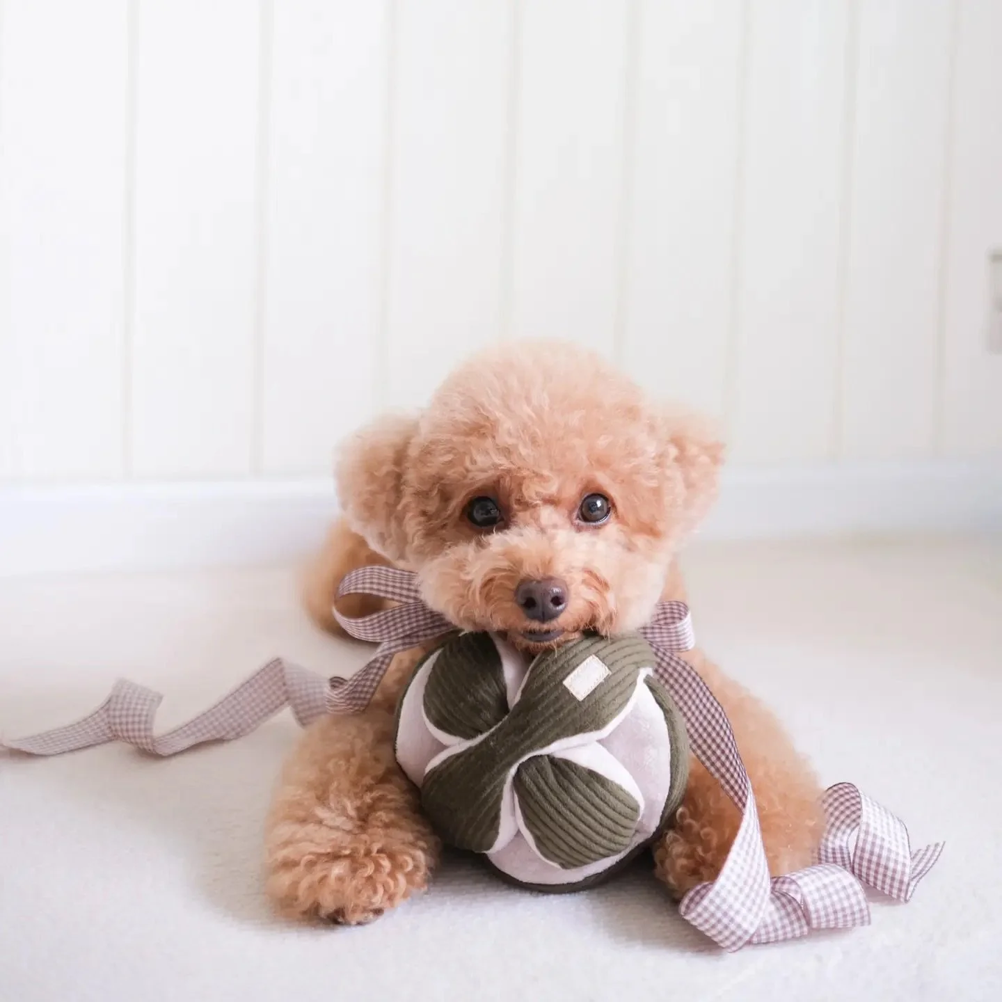 1252e8ead6701722a6b2c2e020c294dc06a8d6c1fc4d1d115d21e30c9179c1b1.jpeg-2.jpeg (copie)