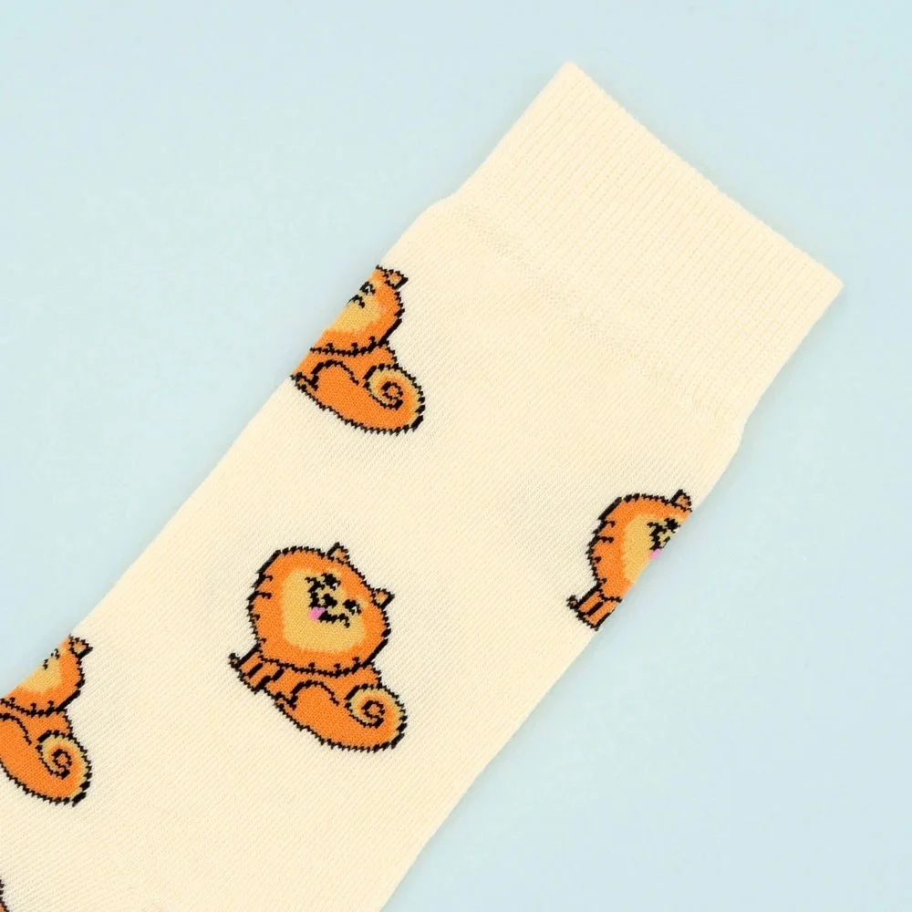 coucou-suzette-accessoire-accessory-cadeau-gift-socks-chaussettes-unisex-mixte-cotton-coton-motif-pattern-dog-chien-ouaf-woof-spitz-beige-Web.jpg