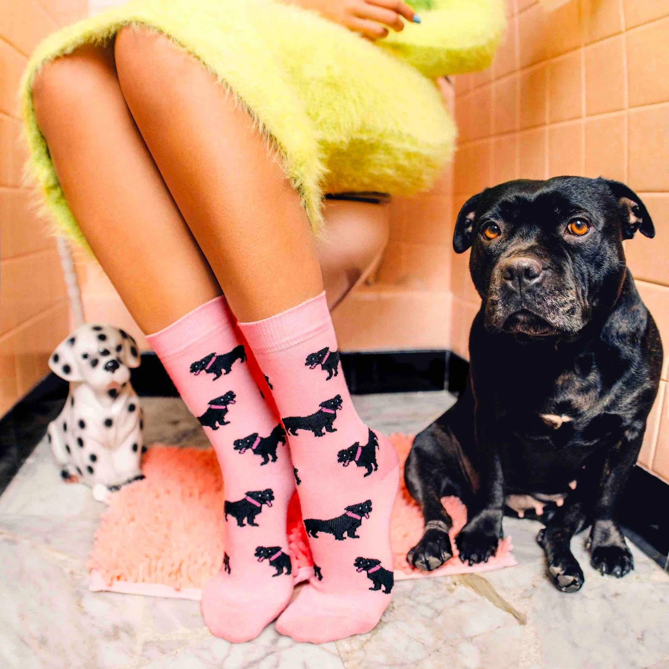 coucou-suzette-accessoire-accessory-cadeau-gift-socks-chaussettes-unisex-mixte-cotton-coton-motif-pattern-dog-chien-ouaf-woof-staffie-staffy-noir-black-rose-pink-crea-carre-Web.jpg-2.jpeg