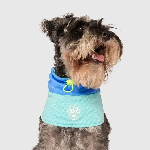 Tour de cou rafraîchissant pour chien - Canada Pooch Max Chill Snood