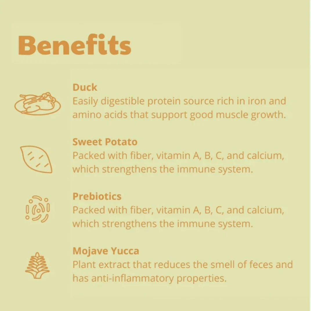 Capture d’écran 2026-03-18 à 11.35.20.jpeg