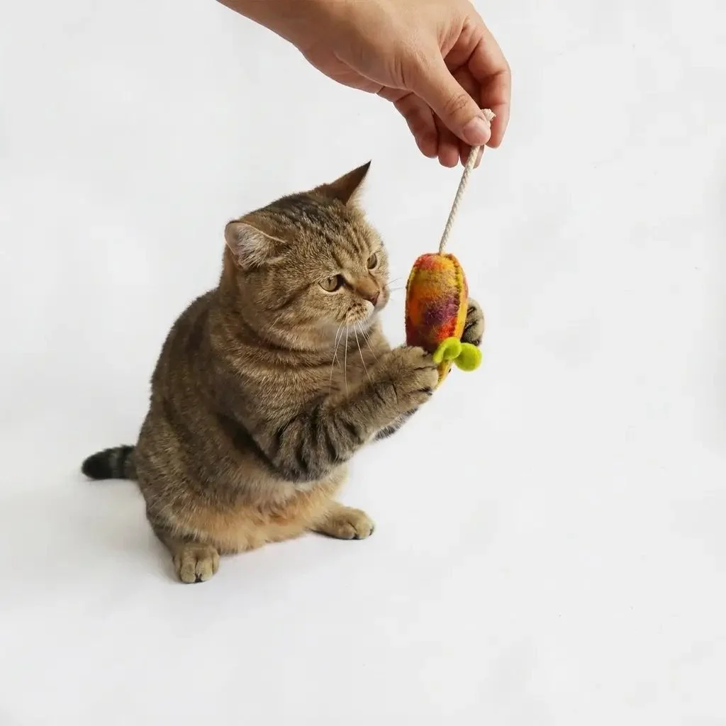Chat jouant avec les souris Awoo Play Mice