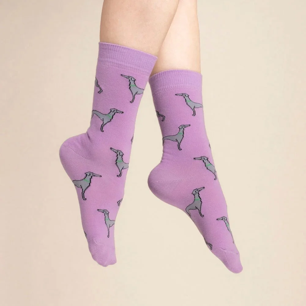 coucou-suzette-accessoire-accessory-cadeau-gift-socks-chaussettes-unisex-mixte-cotton-coton-motif-pattern-dog-chien-ouaf-woof-levrier-whippet-violet-purple-Web2.jpg