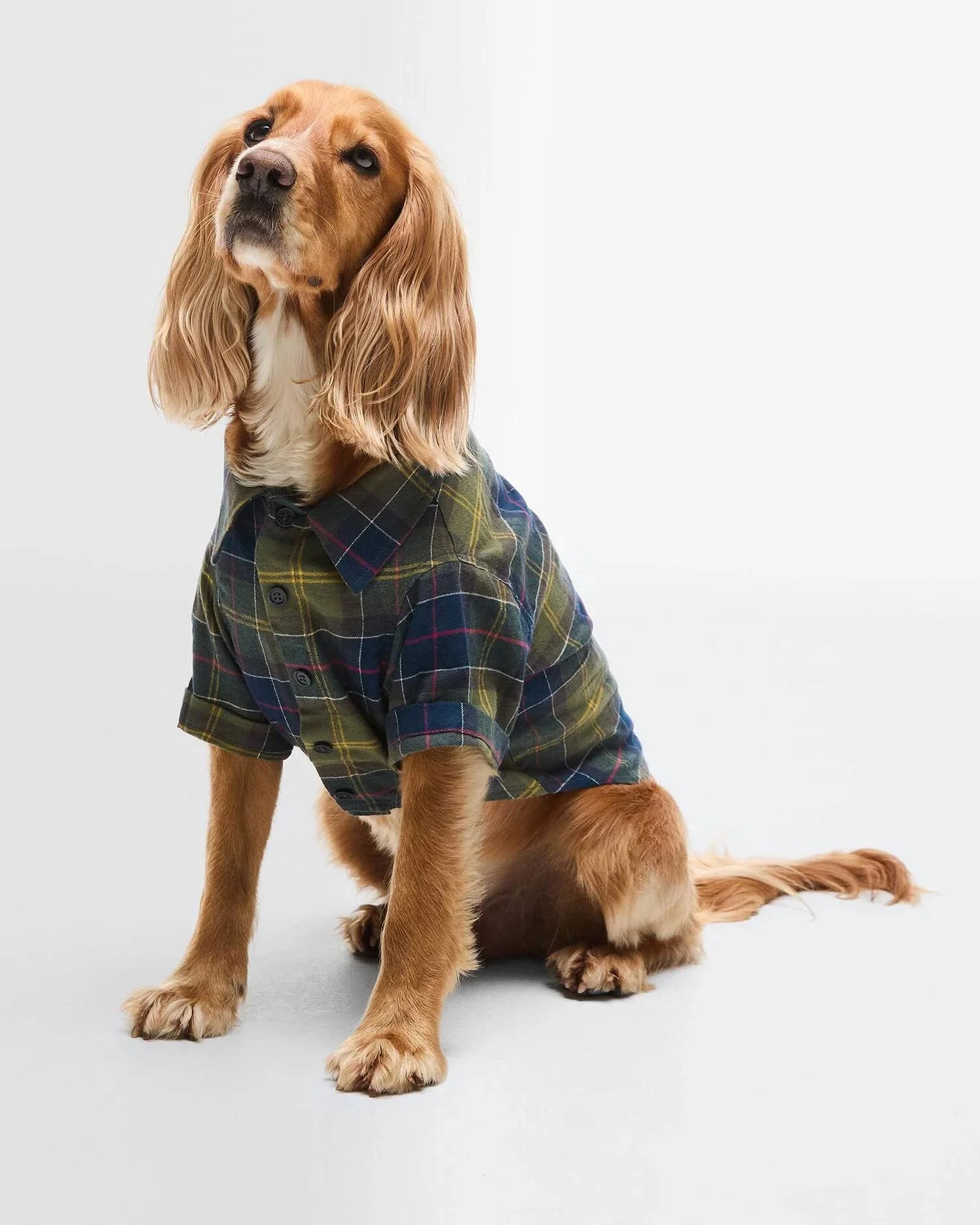 BARBOUR - Chemise FORTROSE