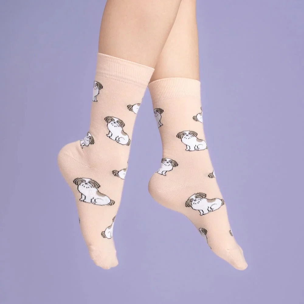 coucou-suzette-accessoire-accessory-cadeau-gift-socks-chaussettes-unisex-mixte-cotton-coton-motif-pattern-dog-chien-ouaf-woof-shihtzu-beige-Web2.jpg