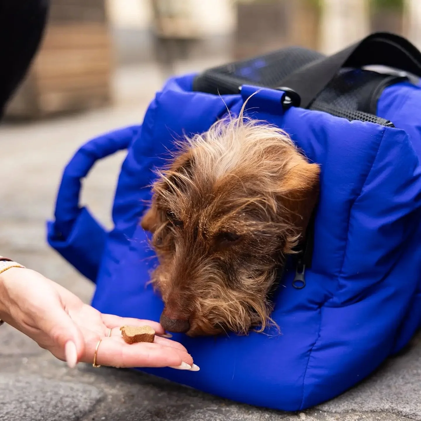 Sac de voyage pour chien - WELOCA