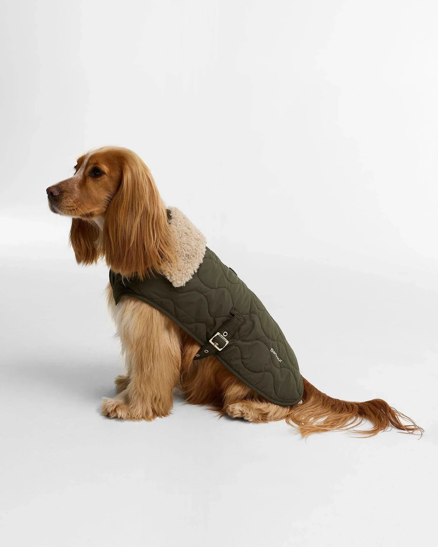 BARBOUR - Manteau BEITH