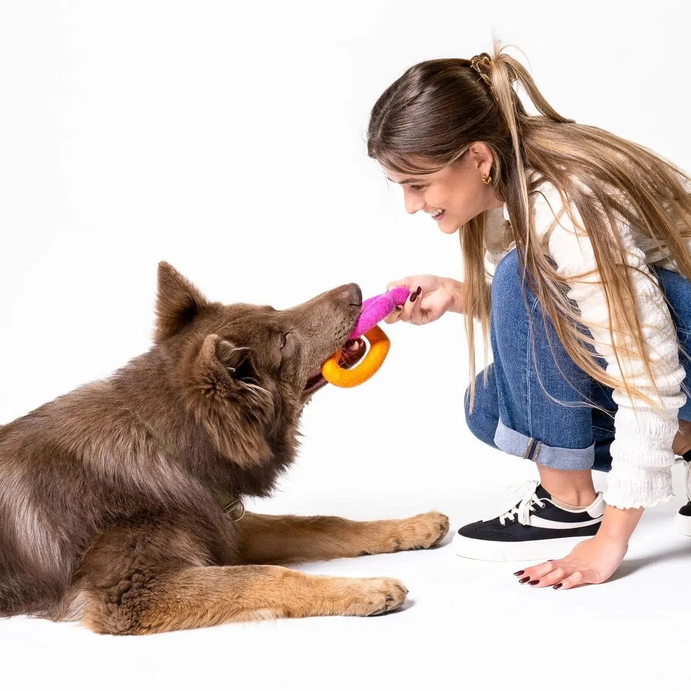 Chien jouant avec le jouet de traction Awoo Sweethearts