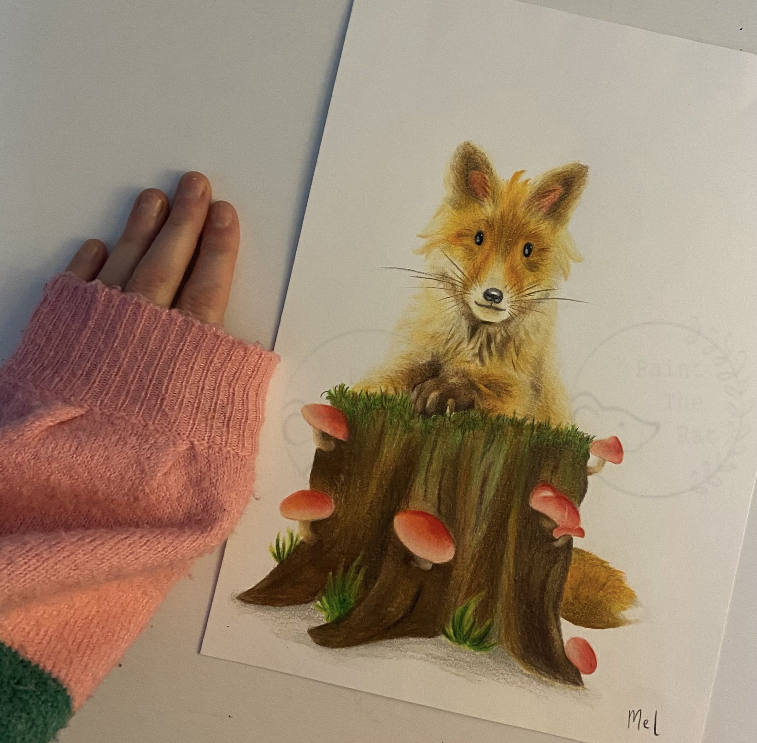 Little Fox on a Tree Stump