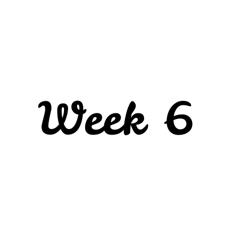 Week 6 of Classes