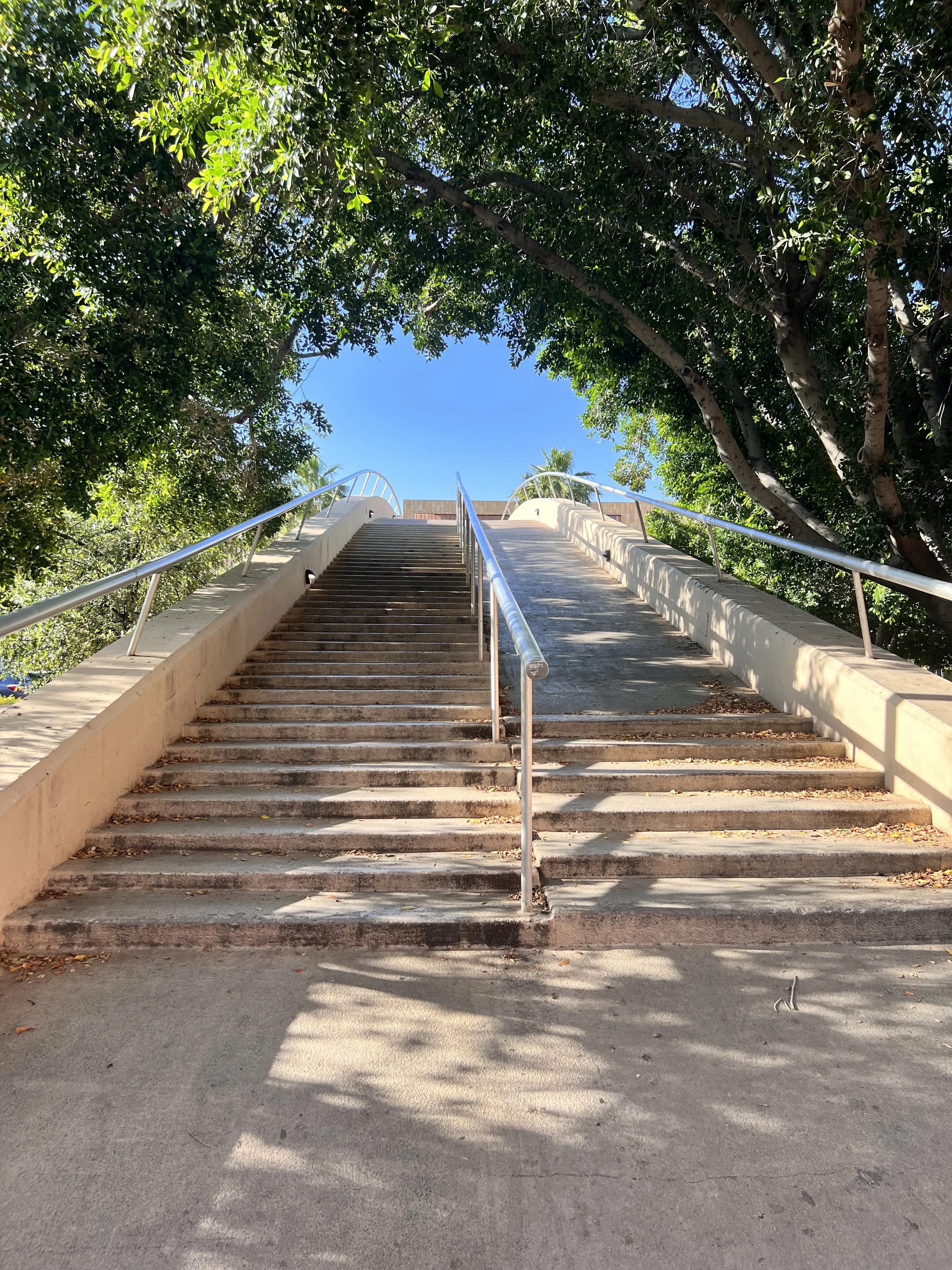 Photo of stairs with a canopy of green trees overhead and blue sky in the distance; taken at Arizona State University, Tempe, AZ